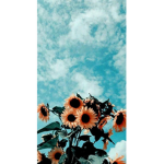 cloudy_sun