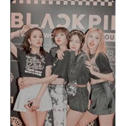blink home