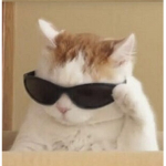 roblox_nela_cz