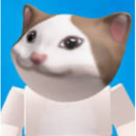 * POPCAT STUDIO *