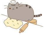 cooking kitten.