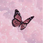 h e a r t b e a t < 3