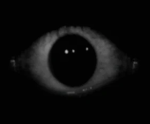 The Eye group of robloxia