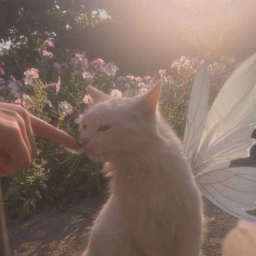 ♡