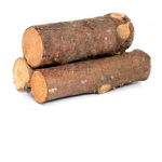 Lumber INC 3 Company: The Epic Loggers