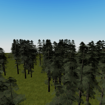THE FOREST AND THE COMMEMORATIVE MUSIC