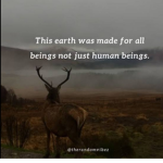Save The All The Animals