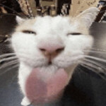 Blee! Donation game!