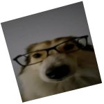 [FREE] Doge Cube Item