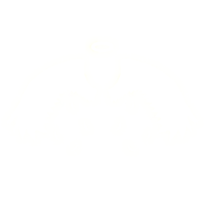 Pure White Wings Full Halo Glowing / Emissive 
