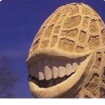 killer nut
