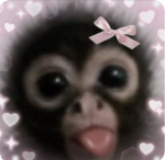 ~the prettiest pookiez~