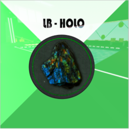 LB | Training Academy