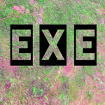 INF.EXE