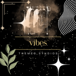 vibe's themed studios