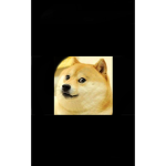 Doge club for fans