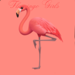 Flamingo Girls Gang