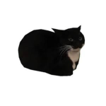 cattombaton inc