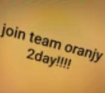 TEAM ORANJY