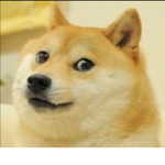 ploomp