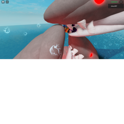 survive the  sharks