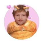 sheeranators (ed sheeran)