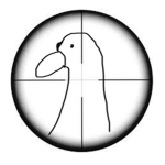 Task Force DII