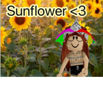 ~*Sunflower*~