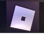 Official Roblox Developer’s