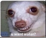 1uvinq