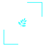 Blue Grass Development