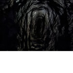 Polar cave [Creepy]