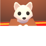 Foxy Lover's