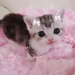 'ゴロゴロ