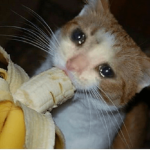 Mᴀʀᴛʏs ɢʀᴏᴜᴘ :ᴅ
