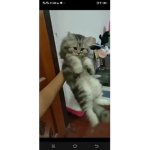 แค่.
