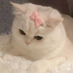 cheap 'n' cute clothes