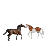 Best horse friends 2