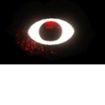 seek's roblox group