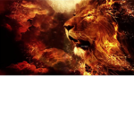 Fire Phoenix and Doom_Dog Official Fan Club