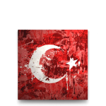 TurkunGucu58