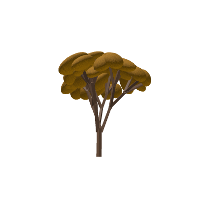 mapple tree