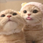 hi :')
