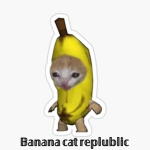 Banana cat replublic
