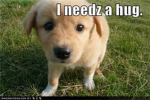 Puppy Lovers Group