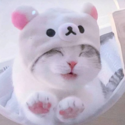 ✧･ﾟ: *