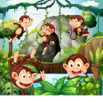 Monkey chaos