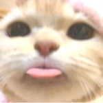 xdeardollx