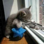 Sxmp Snipers