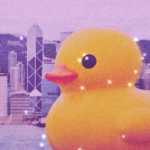 a pile of ducks